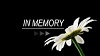 Yancheck, Ronald Gene - Obituary