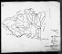 1940 Census - Greene Co., PA - Morris Township Map 2 1940 Census - Greene Co., PA - Morris Township Map 2